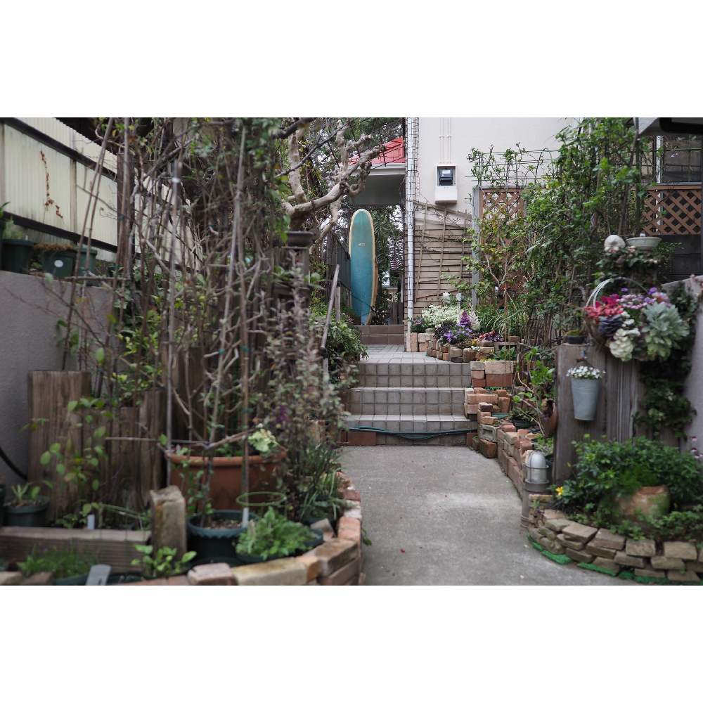 小さな庭の画像 by 我楽多さん | 小さな庭といつもの箱庭(箱庭正面)と三月の箱庭とOM-D E-M1ⅡとOLY 17mm F1.2