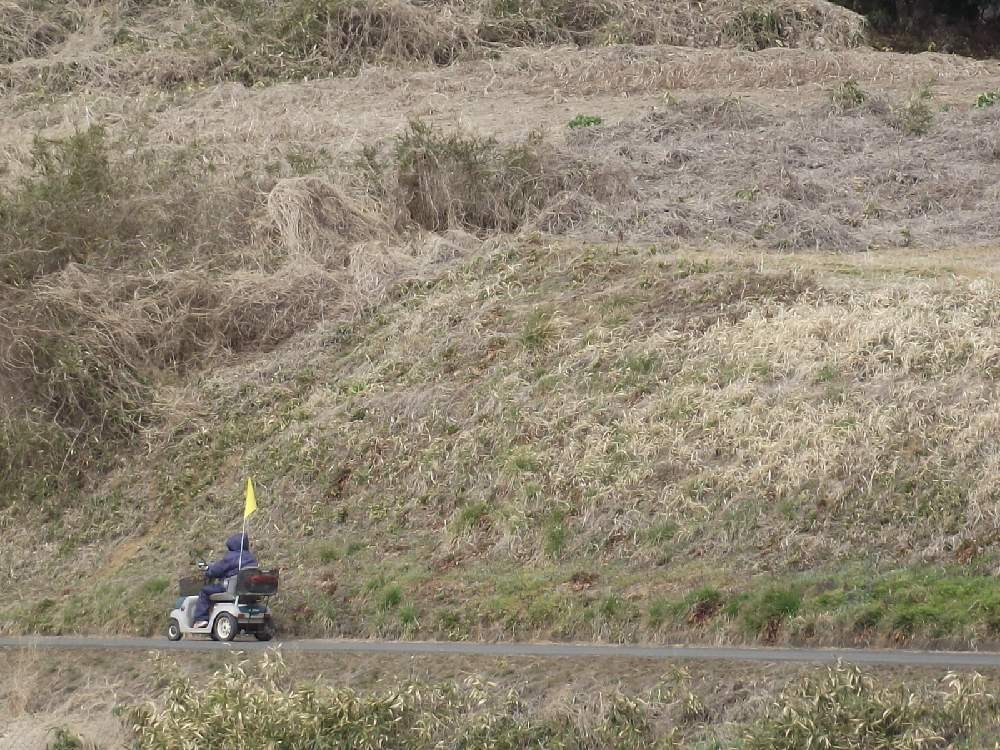 畑の画像 by 風の駅さん | 畑と3ちゃん農業と土曜の土手の日とFinepix S2500HD撮影と田舎の道と単色伯爵