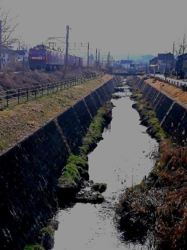 お出かけ先の画像 by 風の駅さん | お出かけ先と植物と鉄道写真とぶらり電動チャリと水辺の水曜日と六角川(二本松市)