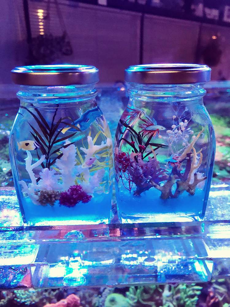 インテリアの画像 by りぃふテリアさん | インテリアとお気に入りと花のある暮らしとプリザ―ブドフラワー
