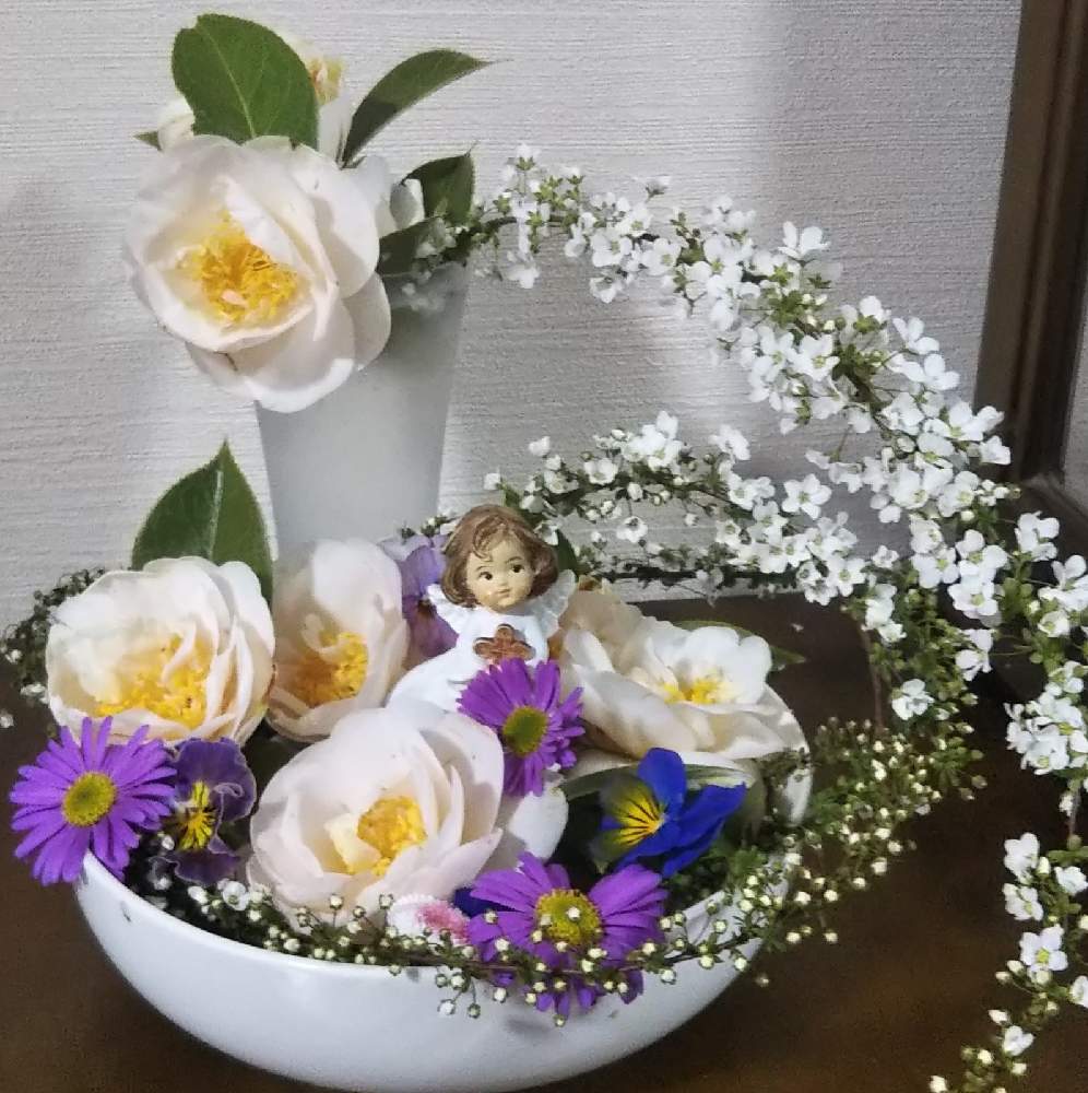 部屋の画像 by 一花さん | 部屋とビオラ♡とプラキカムとゆきやなぎの花とつばき.とエンジェル祭り