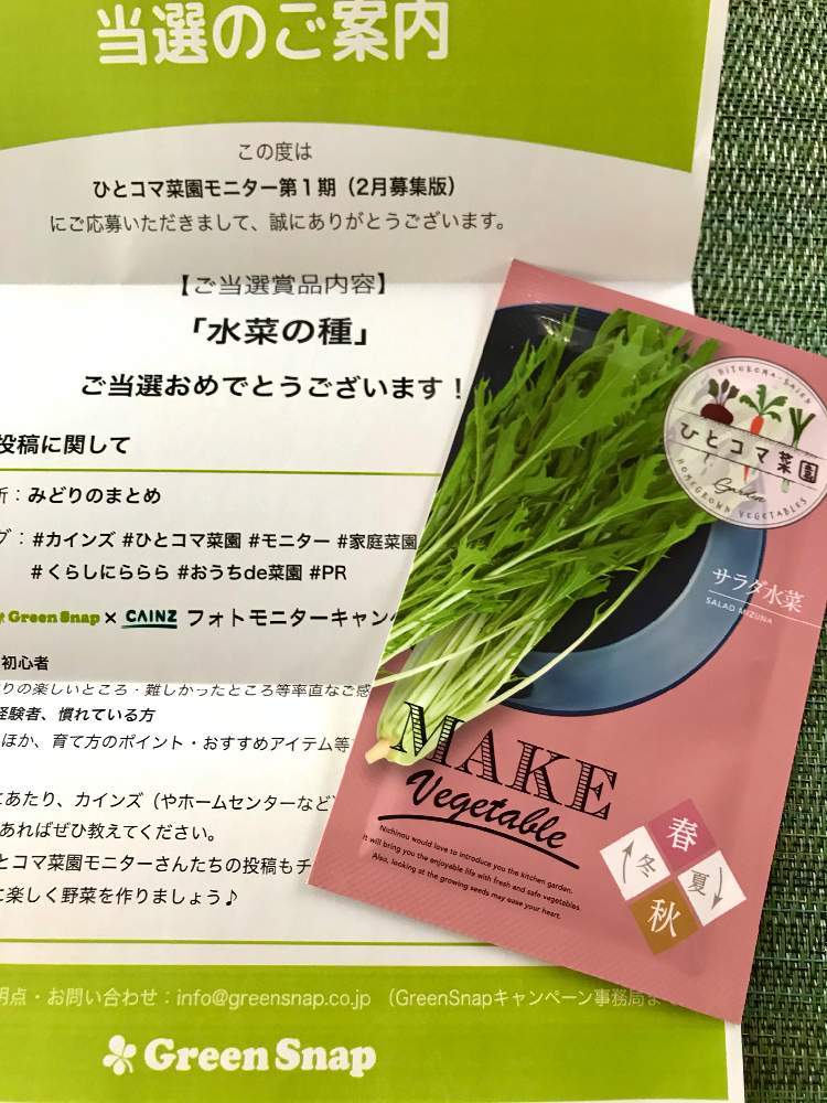 部屋の画像 by みなさん | 部屋と水菜と種からとおうちで家庭菜園を楽しもうキャンペーンとひとこま菜園モニター