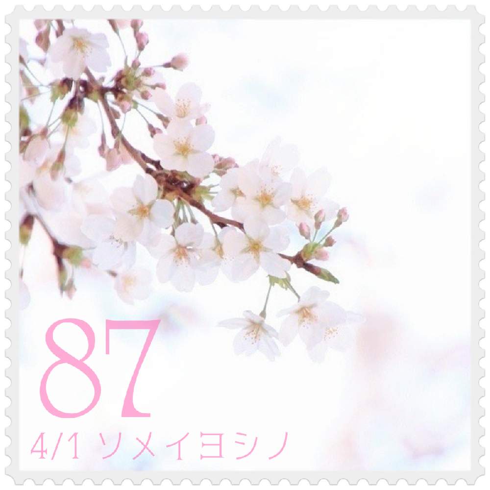 お出かけ先の画像 by 黝-ユウ-(´•௰W)♂秋の花粉症突入さん | お出かけ先とソメイヨシノと誕生日おめでとう*ଘ(੭*ˊᵕˋ)੭*と誕生花Seriesと誕生花と誕生花切手シリーズと花好きバンドマンと桜好きバンドマン