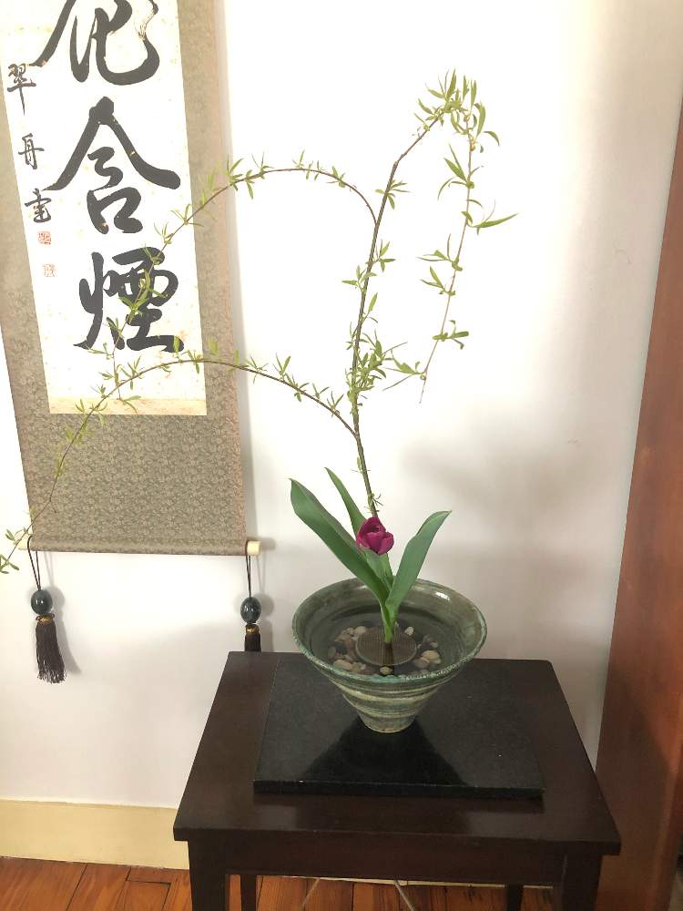 和室の画像 by sasukemama(T・Henty)さん | 和室とフレッシュフラワーアレンジメントと枝垂れ柳☆と生け花のある暮らしと チューリップと緑のある暮らしと花のある暮らしとアレンジメントと生け花
