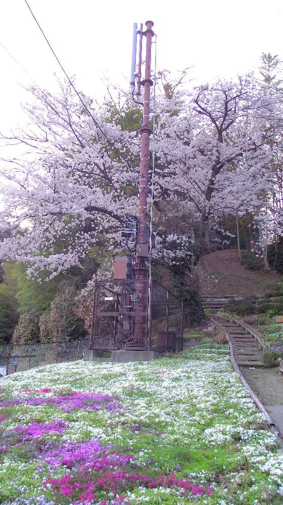 お出かけ先の画像 by 風の駅さん | お出かけ先と春の訪れ(福島県)とジジイとババアの難癖とFinepix S2500HD撮影と❤️桜リレー♬とぶらり電動チャリ