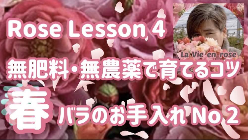 部屋の画像 by La Vie en roseさん | 部屋とYouTubeとバラ愛とばら バラ 薔薇と薔薇愛同盟と水曜ローズショーと薔薇の育て方勉強中✏と薔薇に魅せられてと無農薬無肥料とバラの育て方とYouTuberと薔薇のお菓子と薔薇の初心者教室と花のある暮らしと自然農法バラ栽培とバラ・ミニバラと薔薇大好きと無農薬 無肥料 栽培