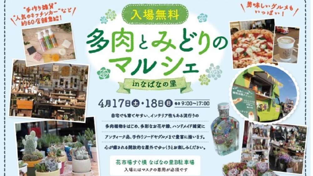 お出かけ先の画像 by やまはる園芸さん | お出かけ先と多肉植物と多肉男子と洋蘭とやまはる園芸とCoel.とセロジネとお誘いとcattleyaと多肉とみどりのマルシェと植中毒とチームタケノコと洋蘭広め隊と着生蘭と多肉女子と洋ランと単茎種とDen.とマキシラリア属とデンドロビウム属とCoelogyneとアトランティス セダム