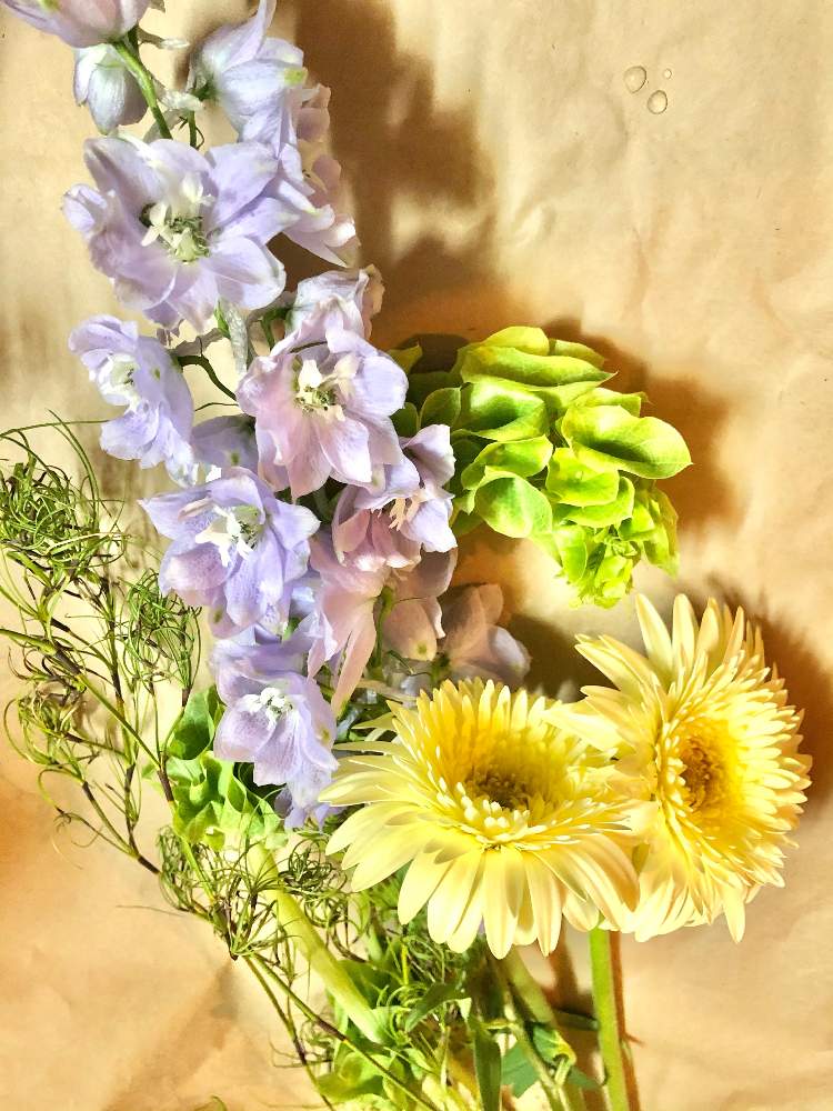 の画像 by 道端 りりりさん | 買い足したお花