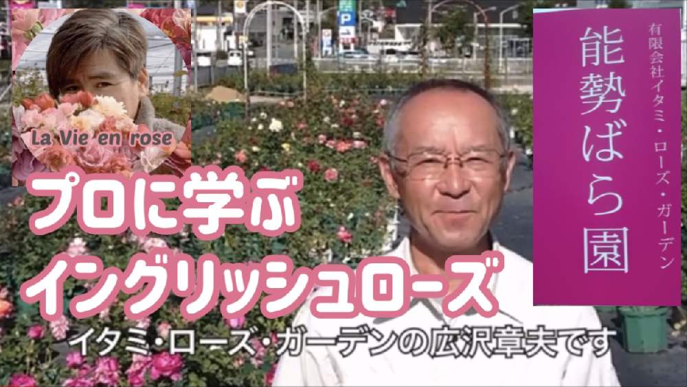 小さな庭の画像 by La Vie en roseさん | 小さな庭とYouTubeと能勢ばら園とばら バラ 薔薇と薔薇愛同盟と水曜ローズショーと薔薇の育て方勉強中✏と薔薇に魅せられてと無農薬無肥料とバラの育て方と薔薇のお菓子とイタミ・ローズ・ガーデンと薔薇の初心者教室と花のある暮らしと自然農法バラ栽培とバラ・ミニバラと薔薇大好きと無農薬 無肥料 栽培と薔薇 エデンローズ♪