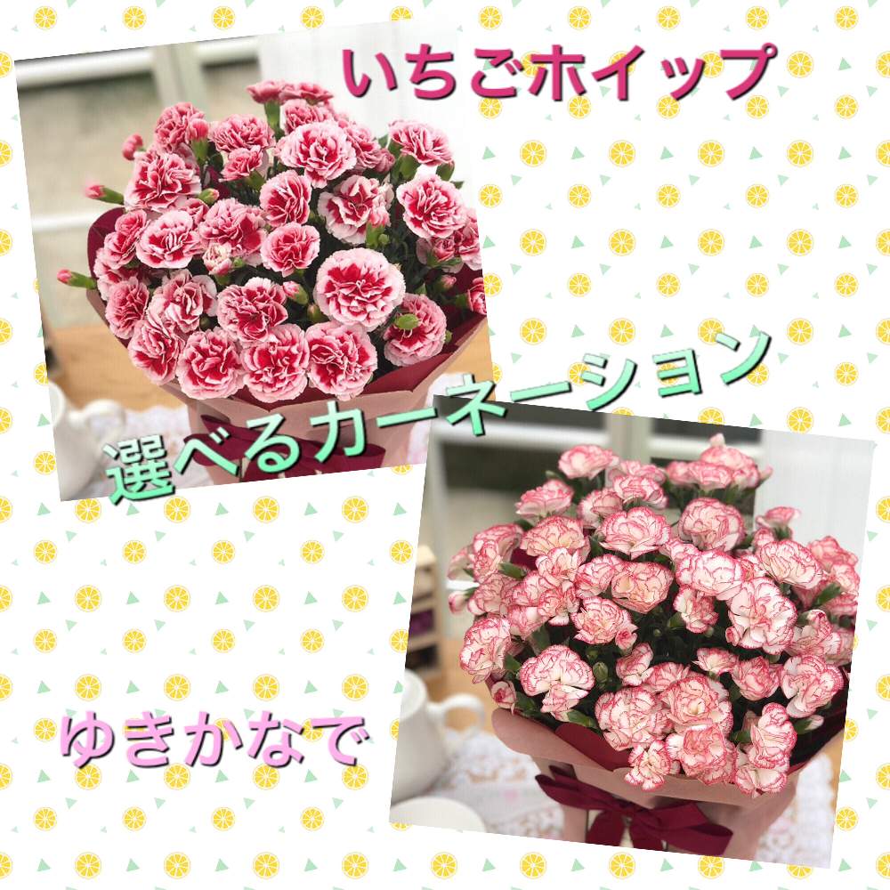 の画像 by フラワーネット 日本花キ流通さん | 多肉植物とネットショップとフラワーネット日本花キ流通と観葉植物とネット販売とギフトとおうち園芸と植中毒と通販と鉢植えと花のある暮らしと実のなる植物とばら 薔薇 バラと母の日
