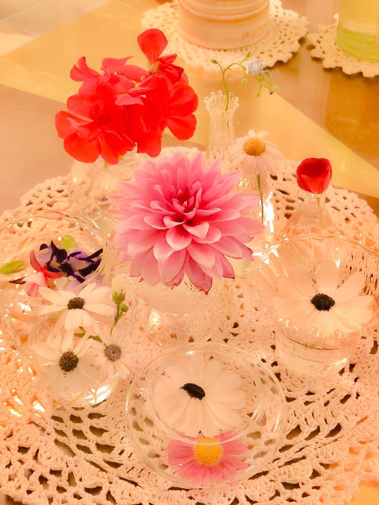 寝室の画像 by ❂❂ Self-Build暮らしの国際夫婦 ❂❂ "皆様フォローありがとうございます!"さん | 寝室とサイネリアとゼラニウムとトレニアとフクシアとワスレナグサとギャラリーダリアとマーガレットストロベリーホイップと↓セルフビルド・ベッドルーム↓と手作りとひとてま込めてとベランダと春のリビングフラワーフォトコンとベッドルームとベランダガーデニングと季節の花とベランダガーデンとおうち園芸と今日の一枚と今日のお花とバルコニーと ハイポネックス園芸部とテーブルフラワーとDIYと花のある暮らしとお花のある生活とマンション暮らしとマンションとおうちで自然を感じると切り花