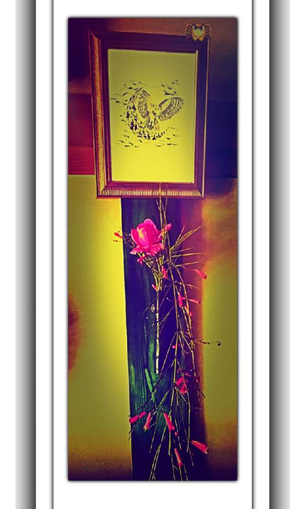 部屋の画像 by Kazyanさん | 部屋と福郎(梟)君と紅色の薔薇と赤い花丁字とArtistic: Owl & flowersと生花シリーズ 和堂と福郎君シリーズ 和堂とFlowers Collaboration series 和堂と福来郎老公シリーズ 和堂とハナチョウジ:花丁字 和堂とcollaboration flowers 和堂とばら 薔薇 バラと万葉の藪庭シリーズ 和堂とバラ:薔薇シリーズ 和堂と宮崎市清武町と万葉の藪庭の花々 和堂と薔薇の花と薔薇の花シリーズ 和堂と薔薇の花を楽しむ 和堂