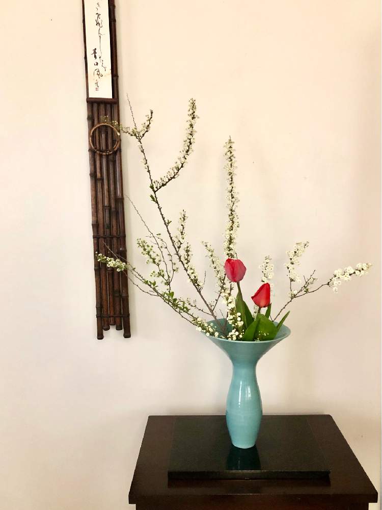和室の画像 by sasukemamaさん | 和室とフレッシュフラワーアレンジメントと生け花のある暮らしと花木と緑のある暮らしとチューリップ✨と 雪柳と花のある暮らしとアメリカ在住とアレンジメントと生け花