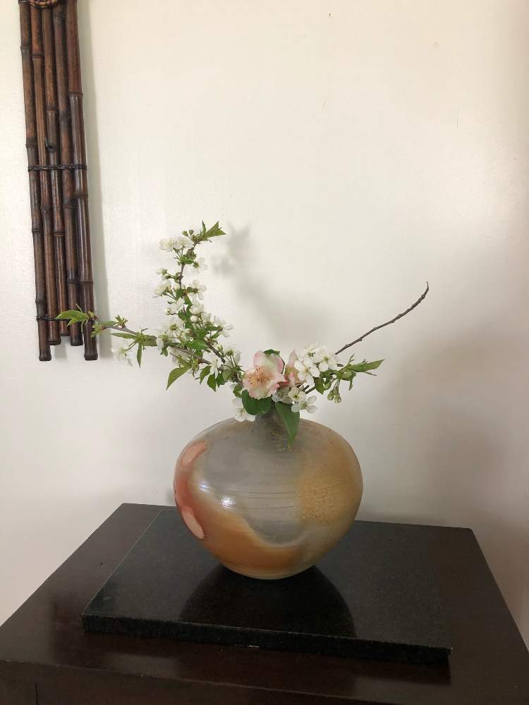 和室の画像 by sasukemamaさん | 和室とフレッシュフラワーアレンジメントと花木とサワーチェリーの木と緑のある暮らしと花のある暮らしとアメリカ在住とアルストロメリア~と生け花とさくらんぼの木♡