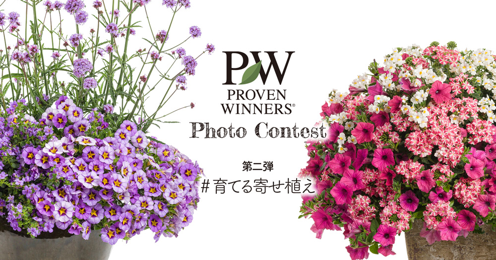 花が咲く笑顔咲く PWフォトコン2021~育てる寄せ植え部門 ~