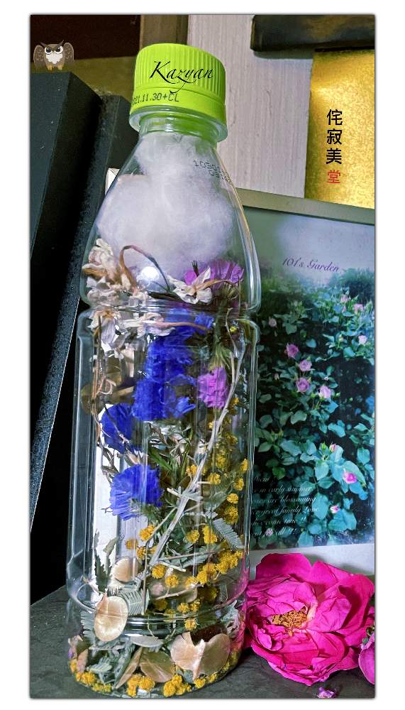 部屋の画像 by Kazyanさん | 部屋と羽衣ジャスミンとアカシア(ミモザ)と福郎(梟)君と綿の木の花実とスターチィス(紫)とバラの写真とドライフラワー中のバラと山芋の果実とスターティスピンクとフクロウ:梟シリーズ 和堂とボトル詰め合わせドライフラワーと福郎君シリーズ 和堂とFlowers Collaboration series 和堂とdry flowersと羽衣ジャスミンシリーズ 和堂とドライフラワー瓶詰めセット 和堂とドライの瓶詰めと紫色のスターティスとドライフラワーのボトル詰め合わせセット 和堂とピンク色のスターティスとワタノキ:綿の木とカスミソウ:霞草と宮崎市清武町とドライフラワーのある暮らしと万葉の藪庭の花々 和堂と薔薇の花シリーズ 和堂と薔薇の花を楽しむ 和堂とドライフラワー作品シリーズ 和堂とワタノキ編 和堂