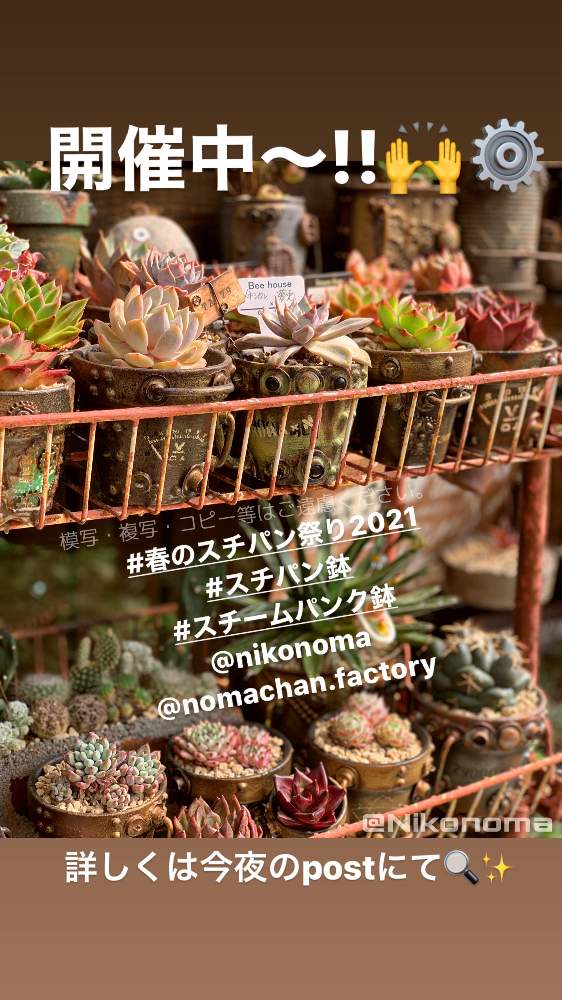 エントランスの画像 by Nomachanさん | エントランスと多肉植物とW投稿と隙間スチパン鉢と繋がりに感謝とjyudy's苗と少しでも笑顔になってもらえますようにとスチームパンクとリメ鉢とみんな同じ空の下とお家時間とスチームパンク鉢とご縁に感謝とnomachan_factoryと春のスチパン鉢祭り2021とスチパン鉢と模写複写コピー等ご遠慮ください。と豆スチパン鉢と植物が映えるものを作り隊とbizarre苗とNikonoma