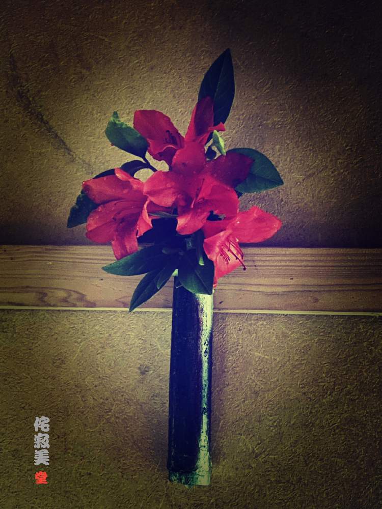 部屋の画像 by Kazyanさん | 部屋と万葉の藪庭シリーズ 和堂とツツジの花シリーズ 和堂とツツジの花とお気に入りのボトルと ツツジとツツジ・躑躅と生花シリーズ 和堂と山ツツジの花シリーズ 和堂と宮崎市清武町と万葉の藪庭の花々 和堂と侘寂美シリーズ 和堂