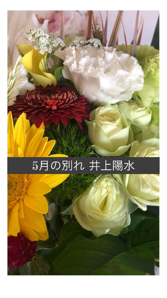 部屋の画像 by けんさん | 部屋と今日も笑顔で♡と出そう!幸せホルモンセロトニン♡と笑ってねと喜ぶ心♪大切。とやさしいきもちとリズムが大事!と好きな曲とコラボ♪と素敵な一日を✨と笑え!