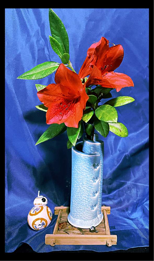 部屋の画像 by Kazyanさん | 部屋と生花シリーズ 和堂とツツジの花シリーズ 和堂とツツジの花とお気に入りのボトルと ツツジとツツジ・躑躅と花器:三股焼 和堂と山ツツジの花シリーズ 和堂と宮崎市清武町と万葉の藪庭の花々 和堂