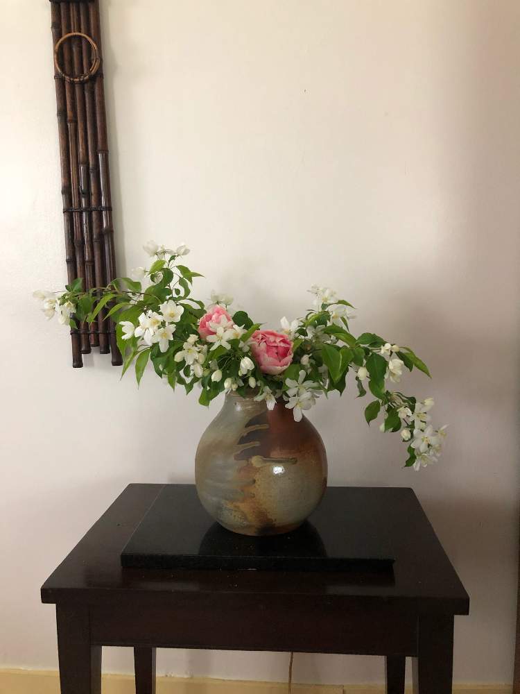 和室の画像 by sasukemamaさん | 和室とフレッシュフラワーアレンジメントとシデ桜と生け花のある暮らしと花木と 八重咲きチューリップと緑のある暮らしとチューリップ、八重咲きと花のある暮らしとアメリカ在住とアレンジメントと生け花