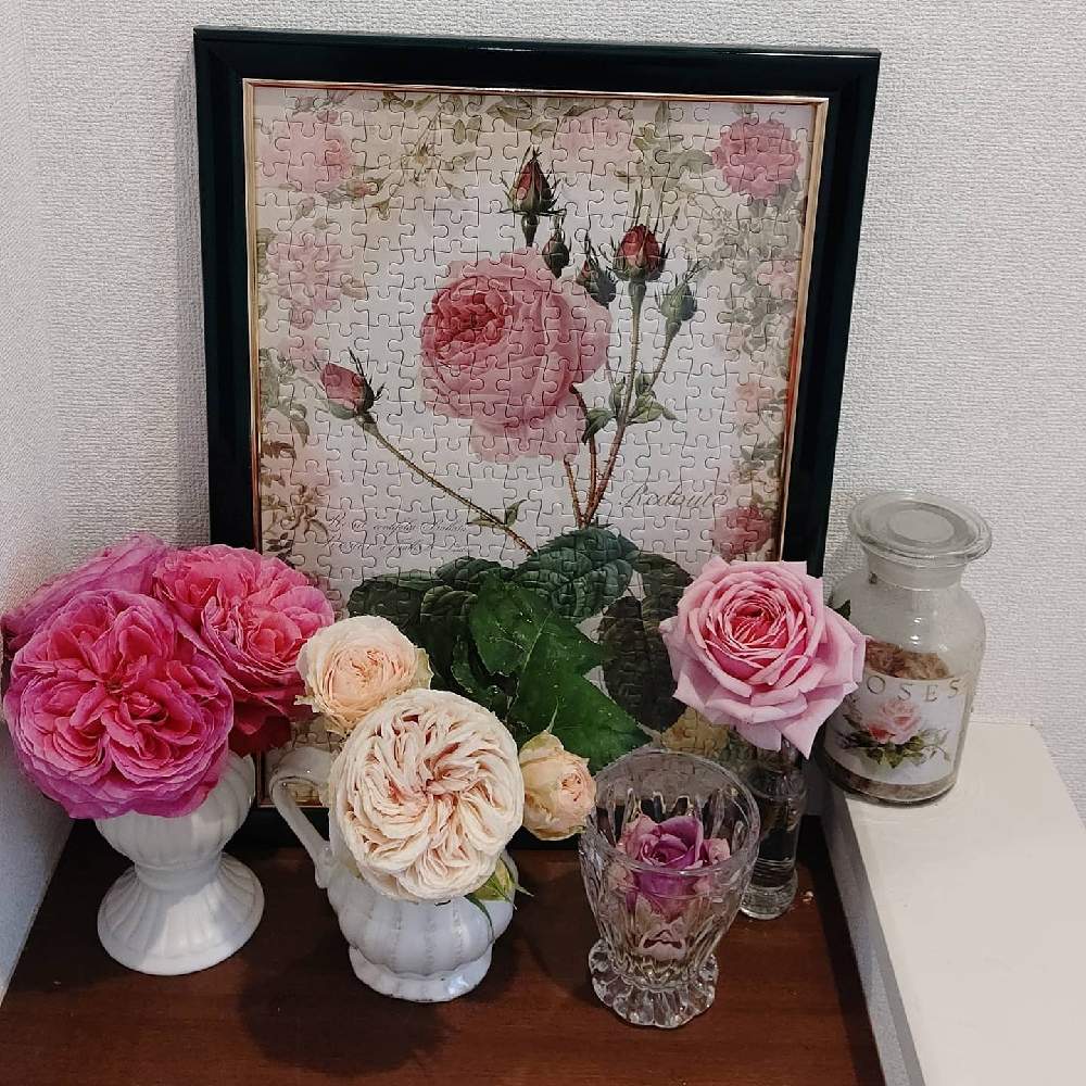 玄関の画像 by 庭野華子さん | 玄関とゆうぜんと結愛と旋律と和ばらとばら バラ 薔薇と和バラ ゆうぜんとデビッドオースチンと京成バラ園と和バラ 旋律とバラのある暮らしとPinkRoseとローズファームケイジとイングリッシュ・ローズとEnglish roseと香りの良いバラとバラが好きと薔薇♪とロザリアンとERとDAVID AUSTIN ROSESとroseとFGローズ