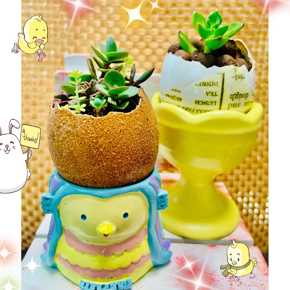 部屋の画像 by UGUISUさん | 部屋とエッグポットと多肉植物寄せ植え☘️