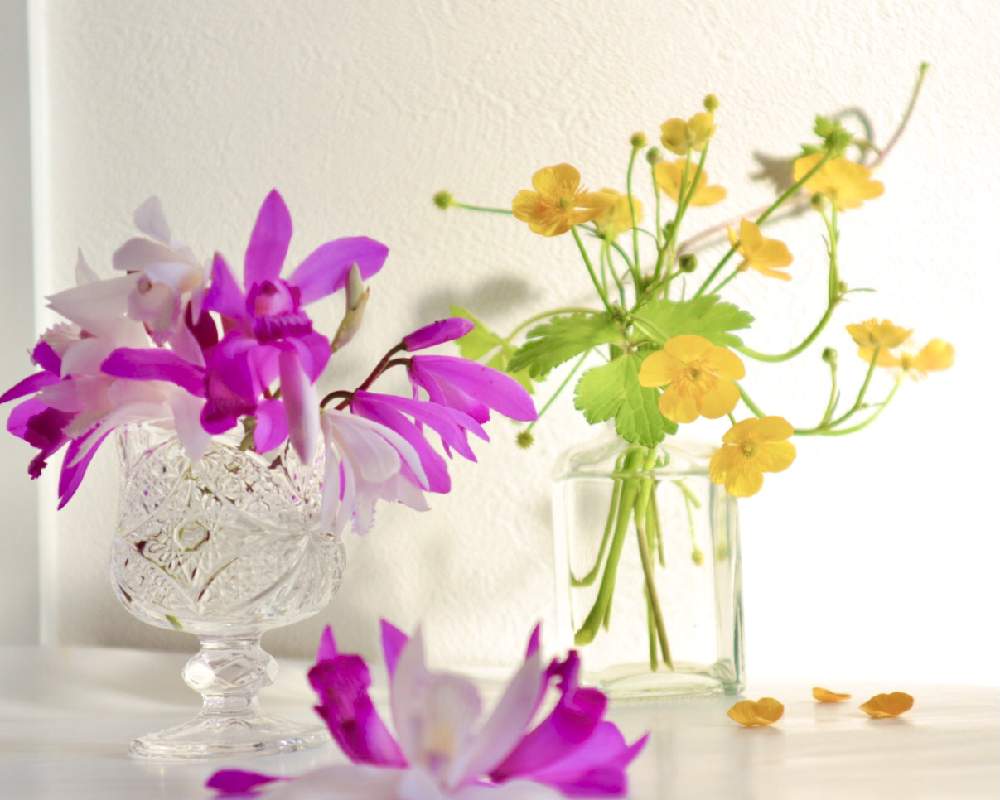 部屋の画像 by こもひささん | 部屋とウマノアシガタの花と春の山野草と シランと春のリビングフラワーフォトコンと紫蘭。と庭の花と山野草と花を飾ると黄色い花とキンポウゲ科と紫蘭(シラン)と小さい花とウマノアシガタ。とガラスの器とケーラーとWEEKEND FLOWERとオマジオ