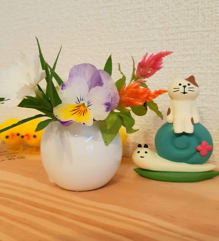 玄関の画像 by みきさん | 玄関とケイトウとビオラとダイアンサス(なでしこ)とねこと植え替えと可憐と種まきとガーデニング初心者と春のリビングフラワーフォトコンとお気に入りの鉢と植物_2021