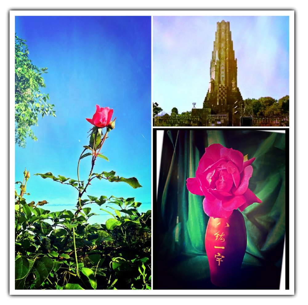 小さな庭の画像 by Kazyanさん | 小さな庭と万葉の藪庭の薔薇と八紘一宇&薔薇の花と薔薇♡と万葉の藪庭シリーズ 和堂と生花シリーズ 和堂とバラを楽しむ 和堂とお気に入りのボトルと薔薇の花シリーズ 和堂と平和の塔と平和台公園と宮崎市清武町と宮崎市観光地と万葉の藪庭の花々 和堂と近所の花華たちと薔薇の花を楽しむ 和堂と薔薇の花と花言葉シリーズ 和堂と万葉の藪庭シリーズ編