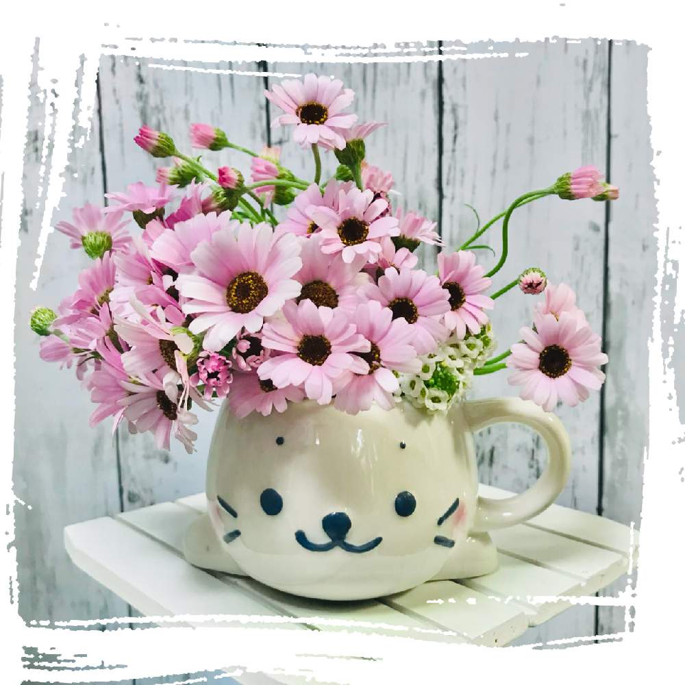 の画像 by shizukuさん | アリッサムとローダンセマム プチマカロンとピンクの花と毎月8日は鉢の日と春のリビングフラワーフォトコン