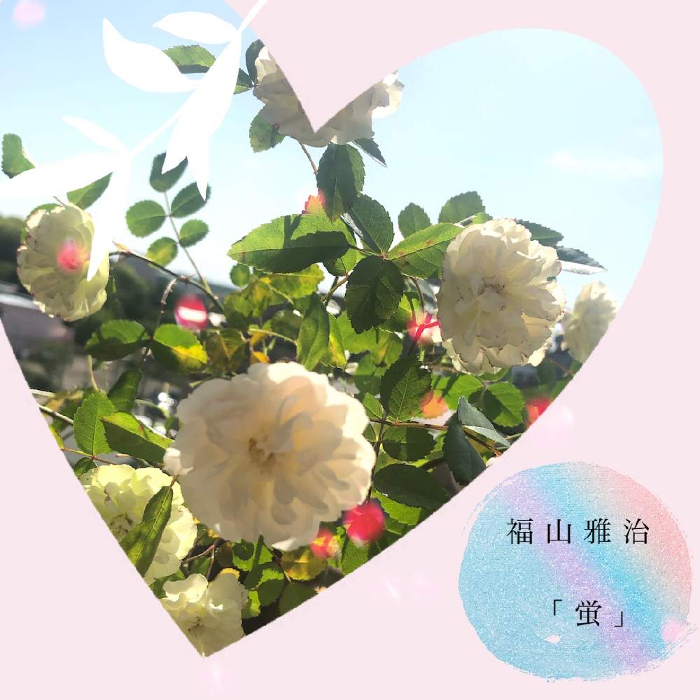 バルコニー/ベランダの画像 by けんさん | バルコニー/ベランダとグリーンアイスと今日も笑顔で♡と出そう!幸せホルモンセロトニン♡と笑ってねと喜ぶ心♪大切。とやさしいきもちとおうち園芸とリズムが大事!と好きな曲とコラボ♪と素敵な一日を✨と笑え!