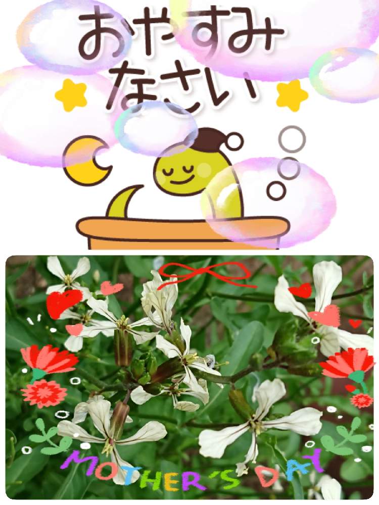 畑の画像 by 苺さん | 畑とプランターとおうち園芸とお家栽培とお家で栽培とルッコラの栽培とプランター植え