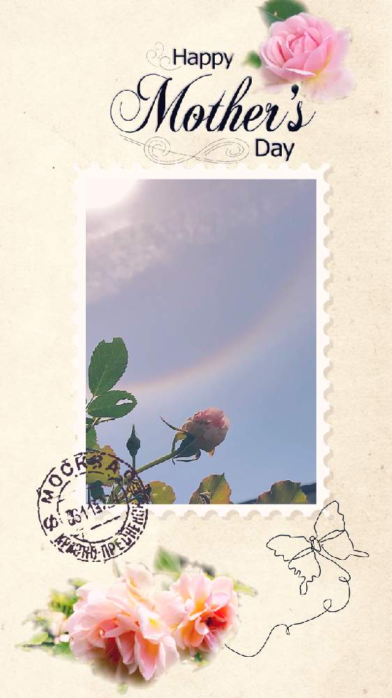 の画像 by 京紫さん | ばら バラ 薔薇とハロ現象と青空と植物❤︎とハロと植物❤︎とピンク色の花と❥植物❥空模様❥コラボ❥とフェリシア♪といやし♪と青空とiPhone撮影と母の日とコロナに負けるな!