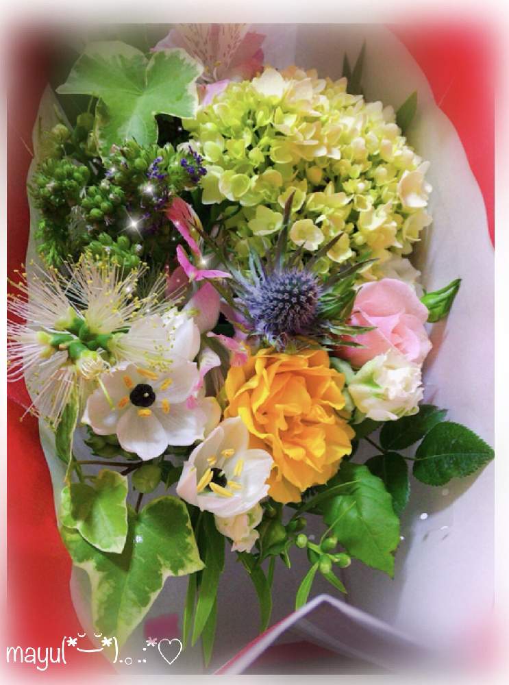 部屋の画像 by mayuさん | 部屋と春♡と薔薇☆とカーネーション♡とハートズキュンとお花❁˚と紫陽花♡とアイビー♡とフラワーアレンジメント♡とアレンジと花のある暮らしとオーニソガラム♡