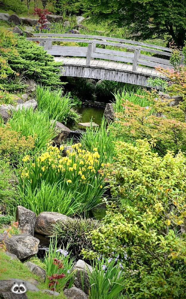 お出かけ先の画像 by ムラタヌキさん | お出かけ先と一眼レフ撮影と水辺の水曜日と風景と山口県と冠梅園と綺麗✨