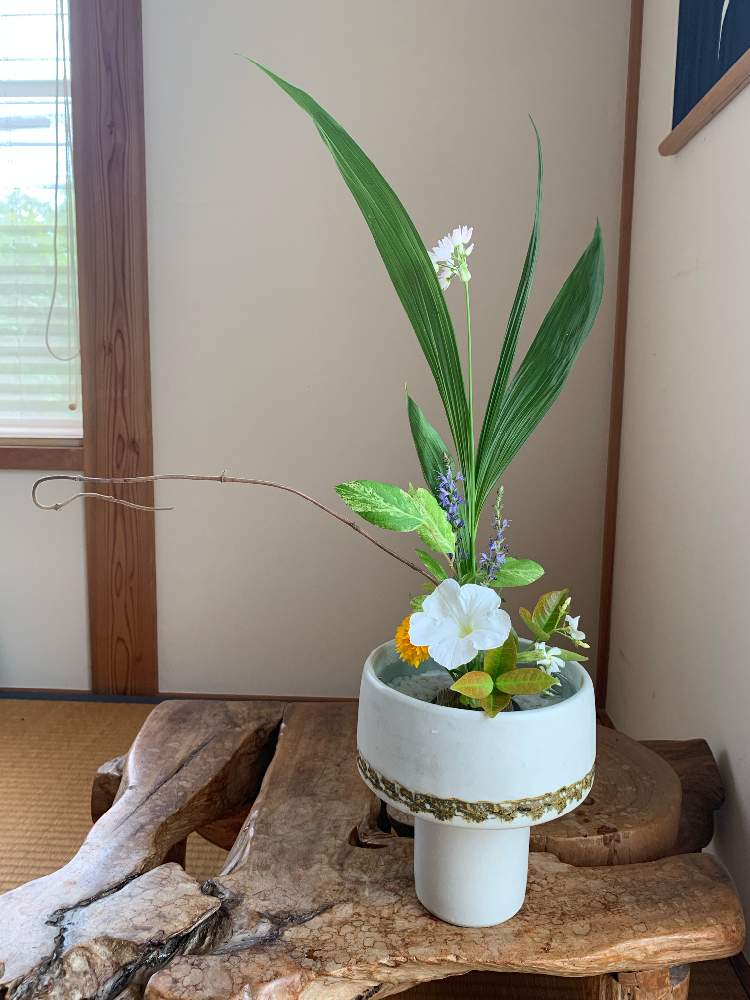 和室の画像 by 小手鞠さん | 和室と生け花初心者と皆様に感謝とおうち園芸と植物に恋してる