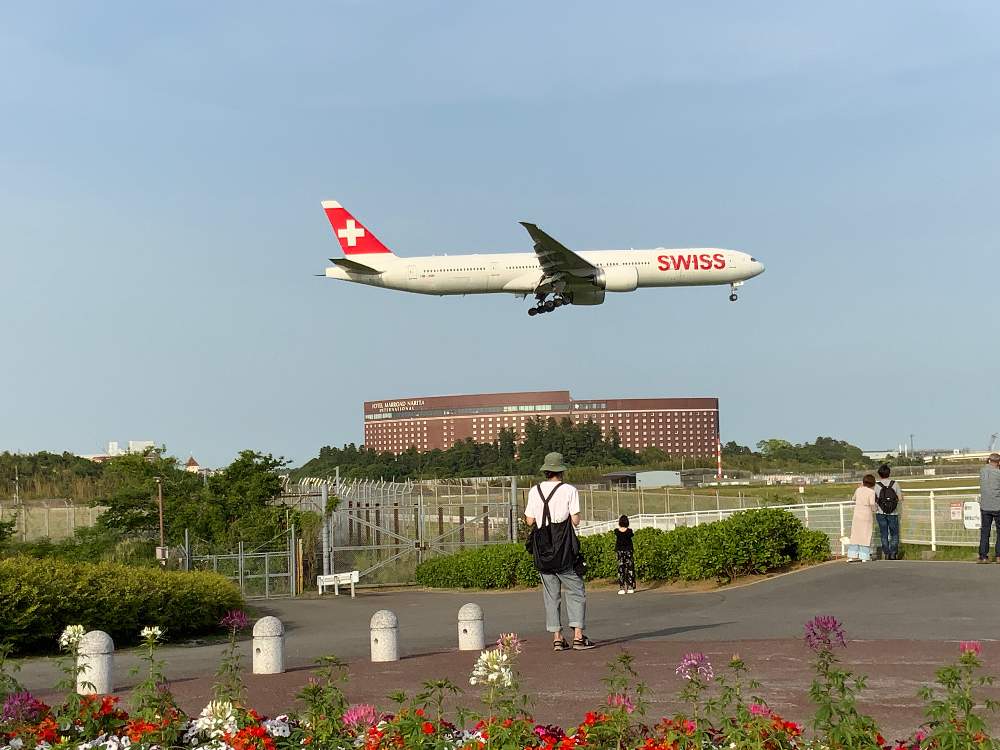 お出かけ先の画像 by ピカピカさん | お出かけ先とB-777-300ERと㊗️じゅんさん3300picと㊗️PONJIさん3500pic