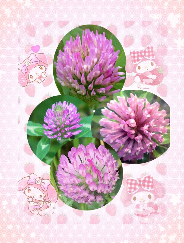 お出かけ先の画像 by ミ〜❣️さん | お出かけ先と☆横浜☆ Love ☆とプチサプライズとチーム花が好き♡と頑張れ日本とビタミン Fと❤️いいね、ありがとうと愉快な仲間達♡とハート♡と花のある暮らしとGS皆様ありがとうとマイメロとMy diary☆