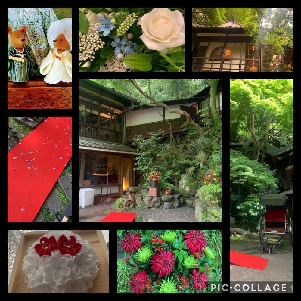 お出かけ先の画像 by ウニ子さん | お出かけ先と手作りと春のお花と大正レトロと自然と共に…とお気に入りと可愛いお花と結婚式と幸せな1日と森の中と新緑と静かな宿