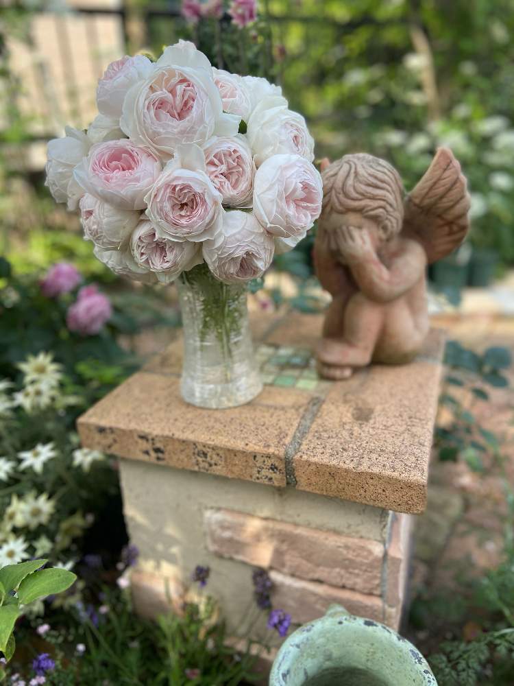 小さな庭の画像 by ななちちさん | 小さな庭とばら バラ 薔薇と薔薇愛同盟とコロナの馬鹿と薔薇男子と薔薇に魅せられてと薔薇ビェドゥーとクリスティアーナ バラと植中毒と2021 GSでバラ園と2021ななちち亭オープンガーデンとななちち亭オープンガーデンと手づくりの庭とガーデニングと花のある暮らしとななちち薔薇2021とロザリアンとななちち邸とコロナのバカと自慢のバラ_2021