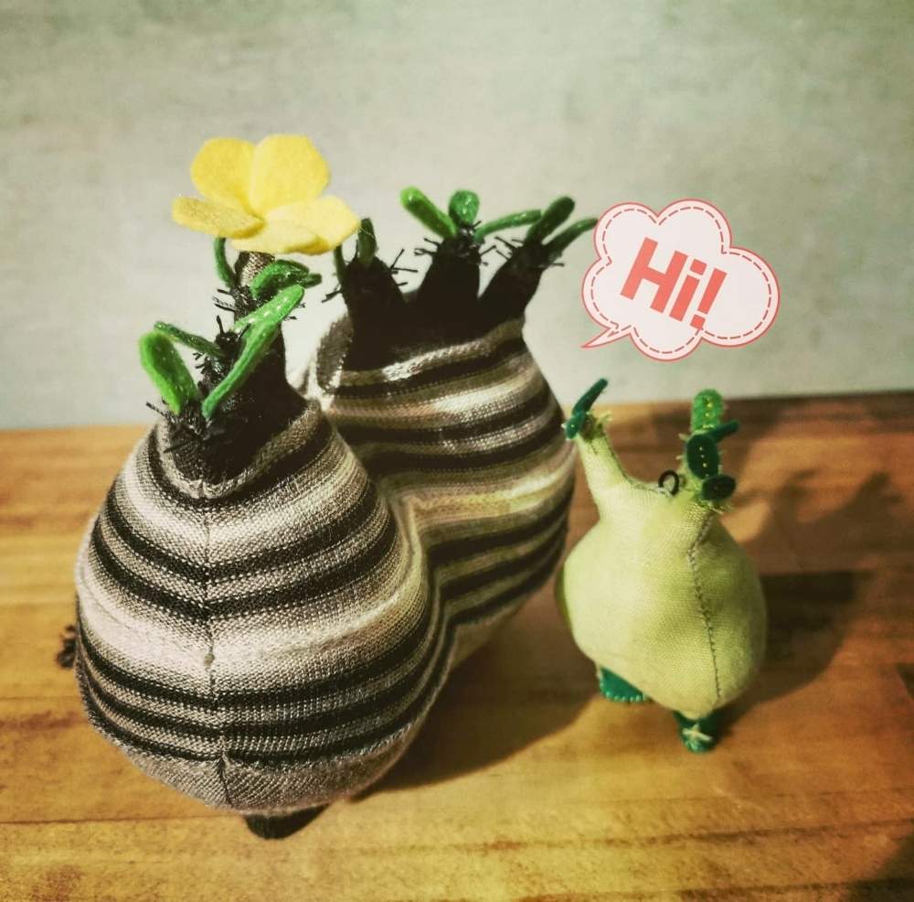 部屋の画像 by poporopoooさん | 部屋とパキポディウム属と観葉植物と花と緑のある暮らしと塊根植物のある暮らしと多肉大好きと塊根女子とぬいぐるみとビザール・プランツと塊根大好きと植物大好きと多肉植物のある暮らしとコーデックスと#パキポディウム•グラキリスと塊根まん・ベアルートと塊根植物とダブルヘッドとハンドメイドと花のある暮らしとgreenとzooo plants