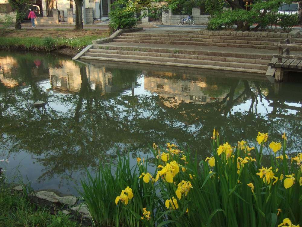 お出かけ先の画像 by 琥珀さん | お出かけ先と○年前の今日と過去写真