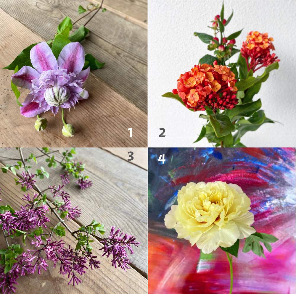 の画像 by メルシーフラワーさん | 花のある空間とスーパーマーケットの花とスーパーの花屋さんと癒しとお花女子と花を飾るとスーパーの切花とハナカジとメルシーフラワーとこういう時こそお花を飾ろうと花のある暮らしとこころを花にかえてとお花男子
