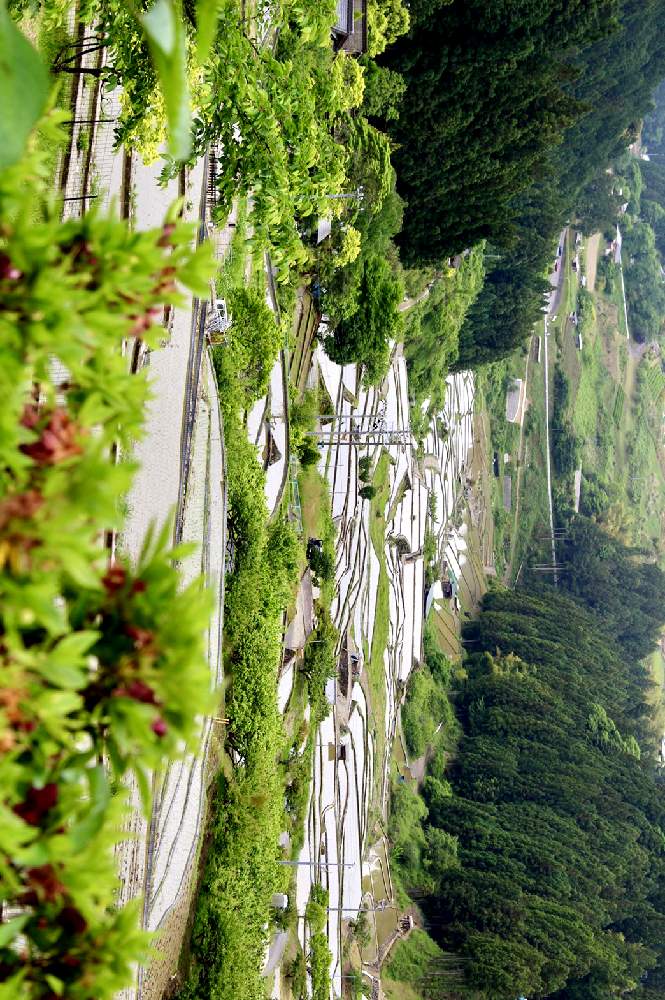 お出かけ先の画像 by こつぶさん | お出かけ先と日本の原風景と棚田と水辺の水曜日と美しいと癒しの風景と日本の棚田百選と四谷の千枚田