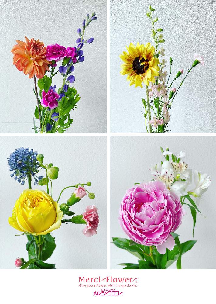 の画像 by メルシーフラワーさん | センダイハギと花のある空間とスーパーの花屋さんと癒しとお花女子と花を飾るとスーパーの切花とハナカジとメルシーフラワーとこういう時こそお花を飾ろうと花のある暮らしとこころを花にかえてとお花男子