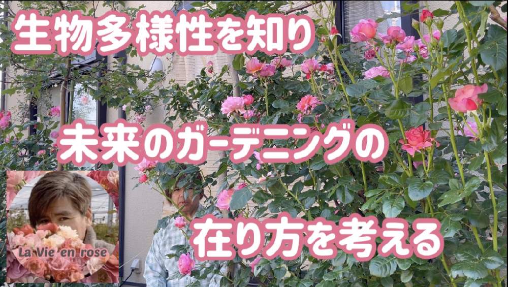 小さな庭の画像 by La Vie en roseさん | 小さな庭とバラ無農薬とYouTubeとバラ愛とばら バラ 薔薇と自然農法と薔薇愛同盟と水曜ローズショーと薔薇の育て方勉強中✏と薔薇に魅せられてとナチュラルローズと無農薬無肥料とバラの育て方とYouTuberと無農薬と薔薇の初心者教室と花のある暮らしと自然農法バラ栽培とバラ・ミニバラと薔薇大好きと無農薬 無肥料 栽培