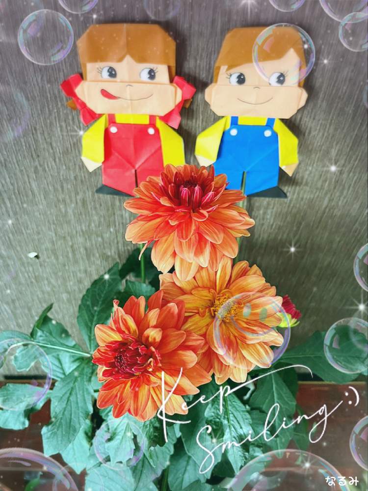 部屋の画像 by なるみさん | 部屋とギャラリーダリア マティッセと花のある暮らしとペコちゃん祭りとおうち園芸と地球緑の防衛隊