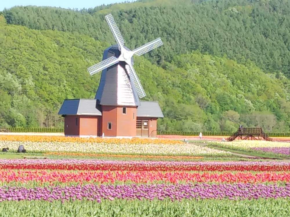 お出かけ先の画像 by 猫の名はさん | お出かけ先と上湧別チューリップと花のある暮らしとオホーツクとむふふっ❤️