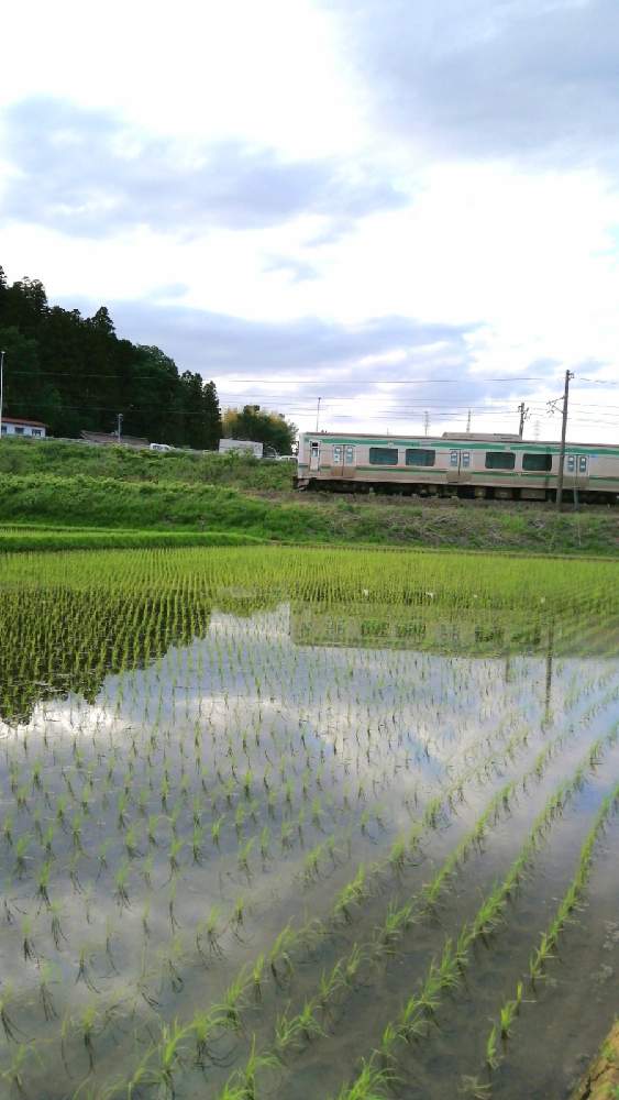 お出かけ先の画像 by 風の駅さん | お出かけ先と水面反射と雲仲間と田園風景(福島県)と植物と鉄道写真とFinepix S2500HD撮影と通勤の途中と土曜の土手の日とぶらり電動チャリ